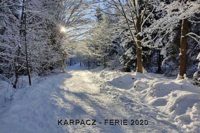Karpacz4You "Przy Deptaku" Apartament Z Garazem 9,7 - Wiosna W Gorach 2025 外观 照片